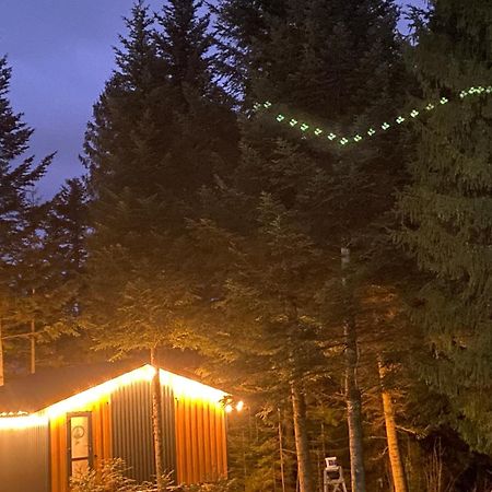 Феєрія Лісу Aparthotel Skhidnytsia Exterior foto