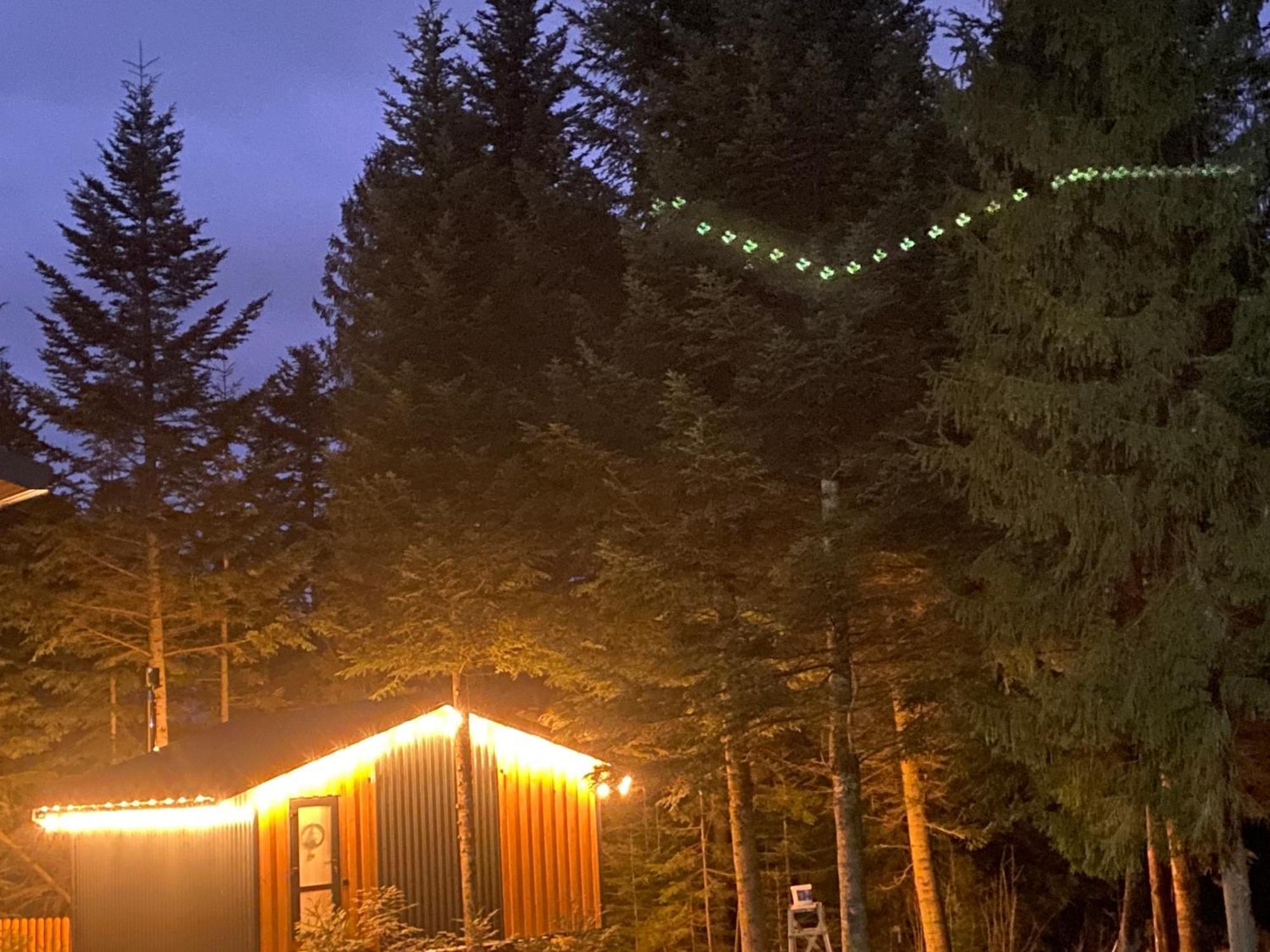 Феєрія Лісу Aparthotel Skhidnytsia Exterior foto