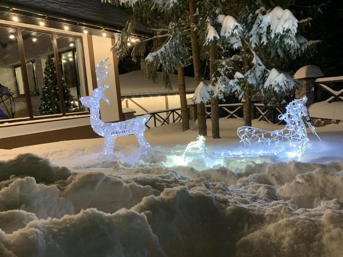 Феєрія Лісу Aparthotel Skhidnytsia Exterior foto